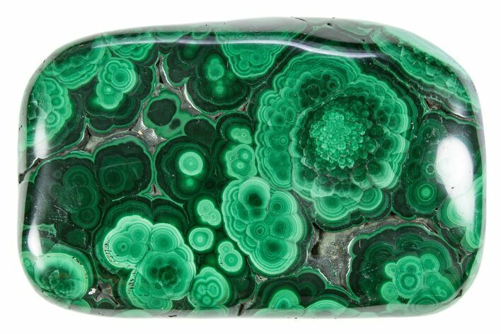 Flowery Polished Malachite Specimen - DR Congo #305226